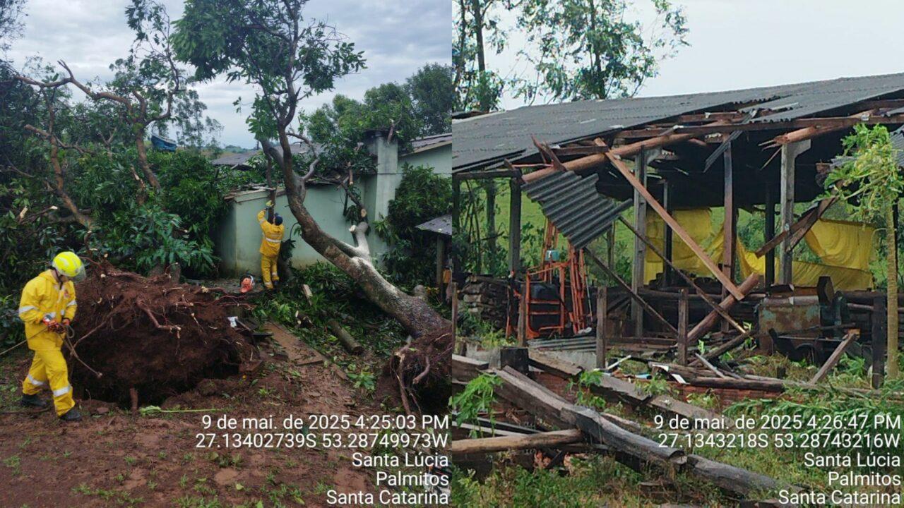 Temporal devasta cidades no Oeste de SC e deixa um morto em Palmitos
