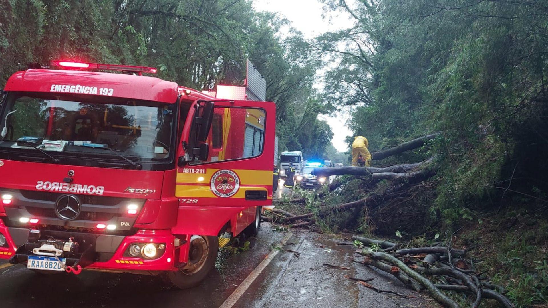Temporal derruba rvore e bloqueia BR-282 em Maravilha por duas horas Foto CBMSC