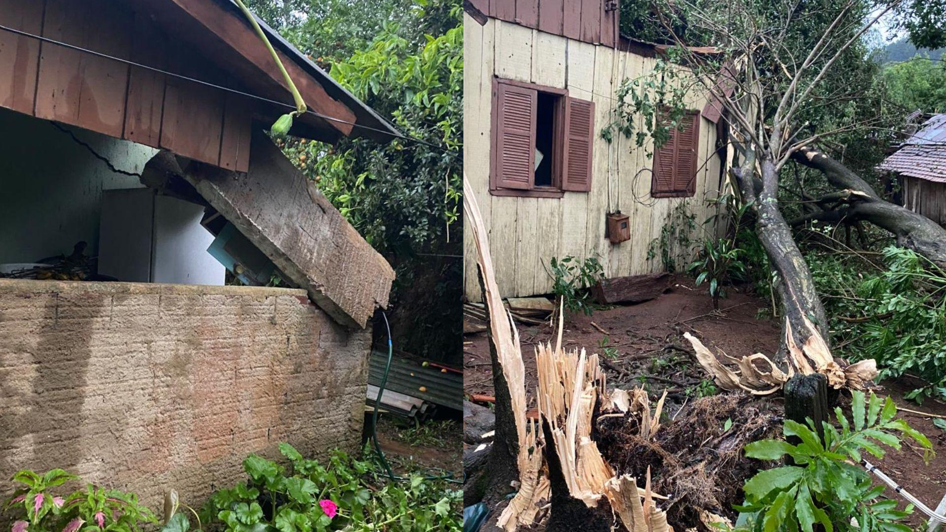 rvore derrubada por ventania atinge residncia no Oeste Imagem corpo de bombeiros
